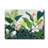 " Tropics "-1406789656