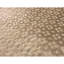 Geometric Area Rug in Brown