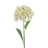Hydrangea Arrangement-17896838