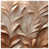 Light Beige Medium Bronze