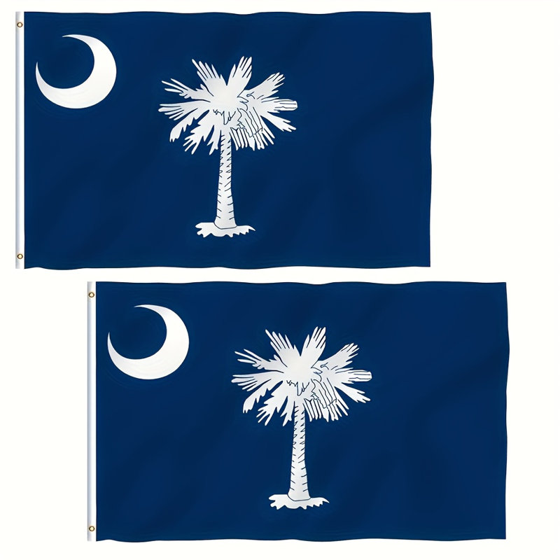  Fly Breeze 3x5 Foot South Carolina State Polyester Flag - South Carolina SC Flags with Brass Grommets 3 X 5 Ft