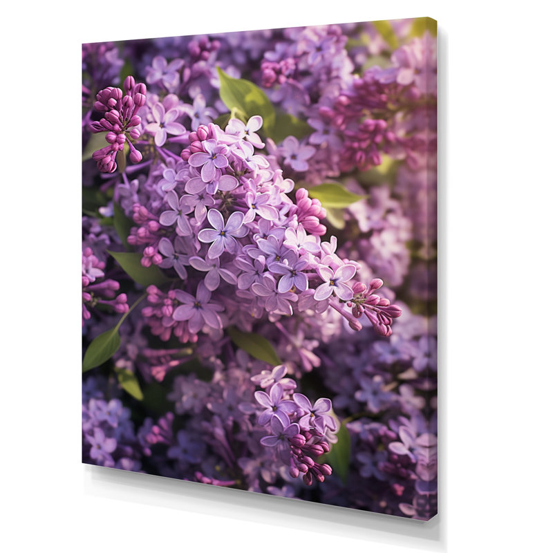 «Lilacs mauves», impression sur toile, H 40 po x l 30 po x P 1,5 po, Toile tendue
