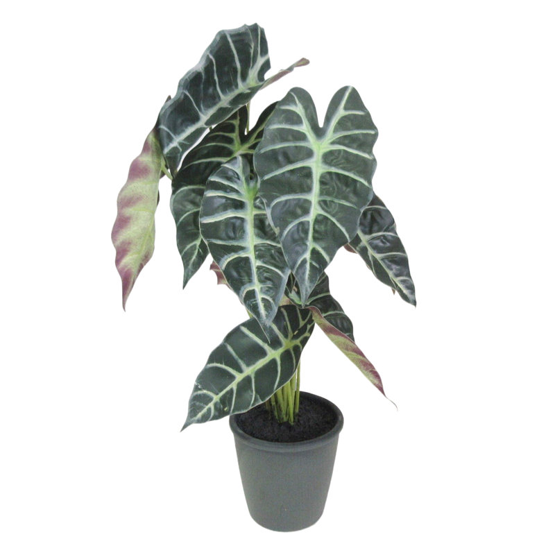 Plante artificielle en pot 20 po Alocasia