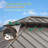 Hardtop Double Roof Aluminum Patio Gazebo with Netting & Curtains-108487388
