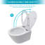Cuvette de toilette murale avec siège à fermeture douce, blanc