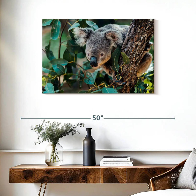 Australie Koala, H 24 po x l 36 po