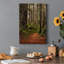 Forest Path II - impression sur toile tendue-2066729175