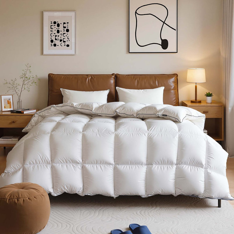 Luxury Down Feather Comforter, 800 Fill Power & Lightweight, Plush Hotel Duvet Insert for Cloudlike Comfort,Available in Oversized King Sizes (120 * 98in) and White