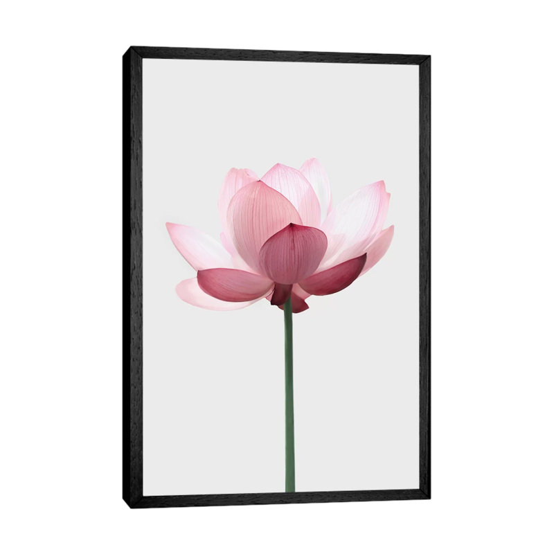 Lotus by Sisi & Seb - Floater Frame Gallery-Wrapped Canvas Giclée on Canvas, 66.04 cm H x 45.72 cm W, Black