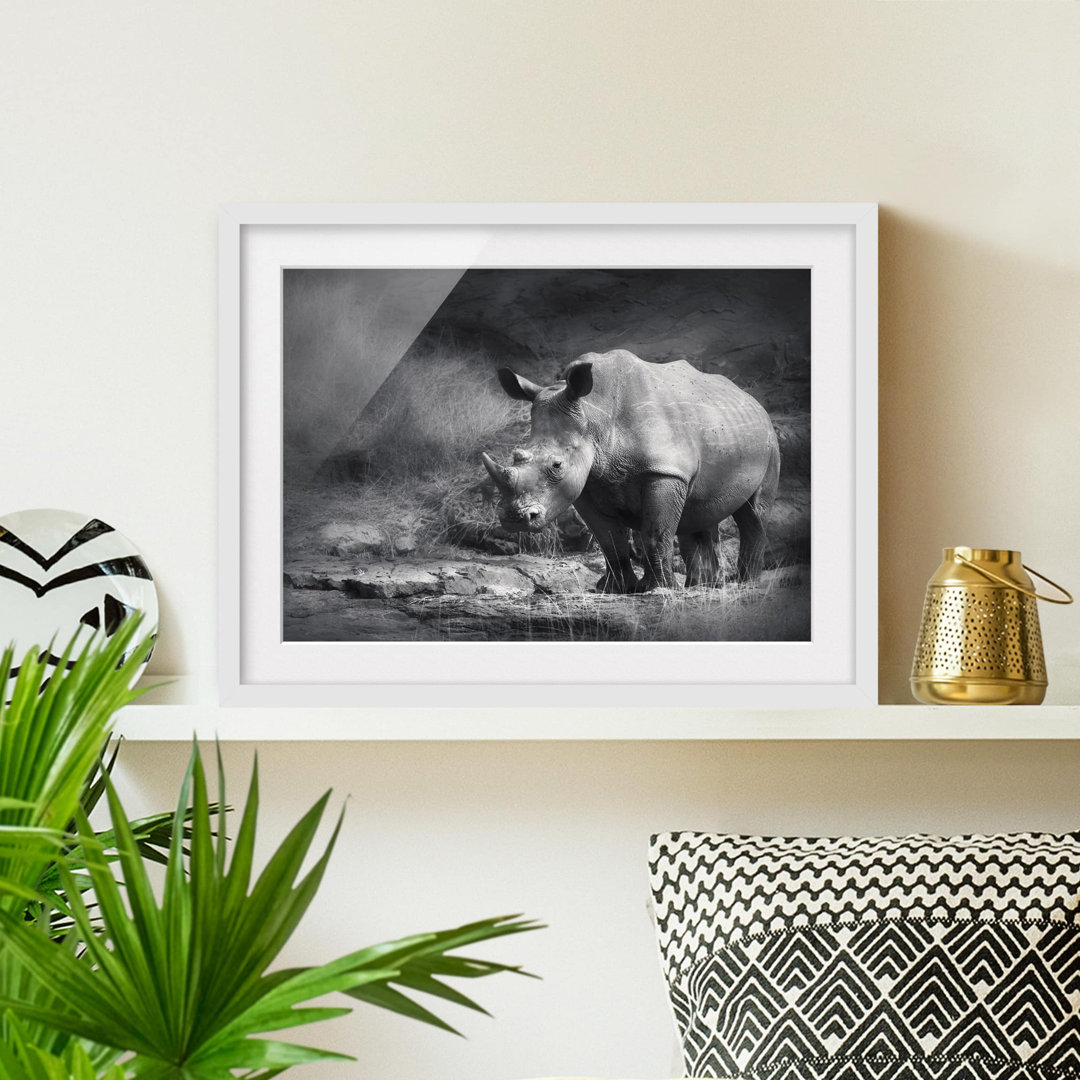 Gerahmtes Poster Lone Rhinoceros