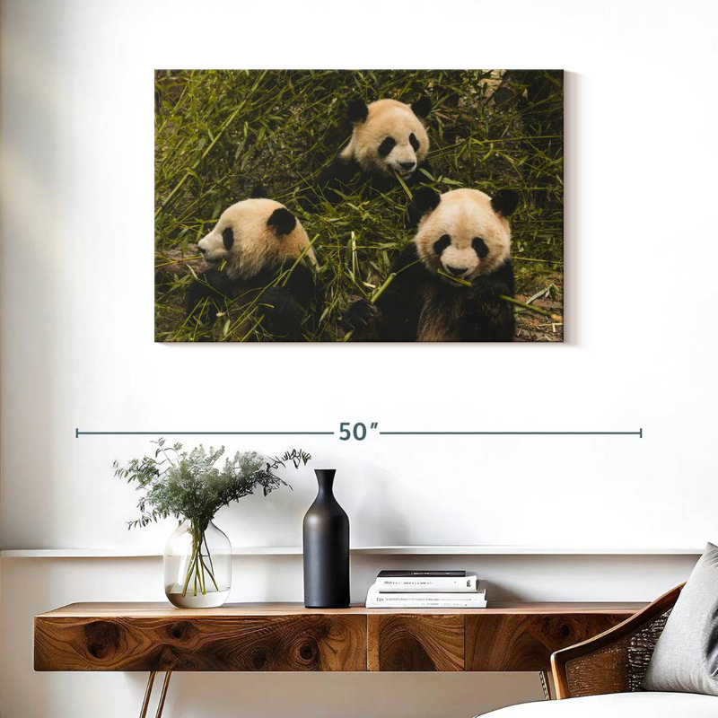 Trois Pandas affamés