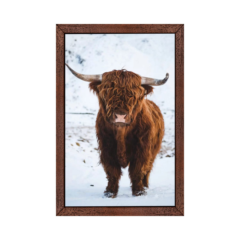 Highland Cattle I - Print on Canvas, 66.04 cm H x 45.72 cm W, Brown Framed