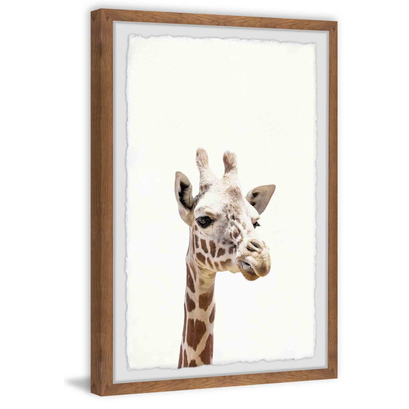 Giraffe Close-up by Marmont Hill - Single Picture Frame Print, 30cm H x 20cm W x 3.81cm D