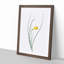 Daffodil by Pierre-Joseph Redoute - Framed Print-55491237-55491240