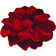 Tapis à motif floral rouge Kunzler