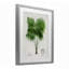 «Fan Palm», reproduction sous verre encadrée, conception de Val Rhodes-393130964-393130954