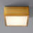 Pyxis Acrylic Flush Mount-19929020