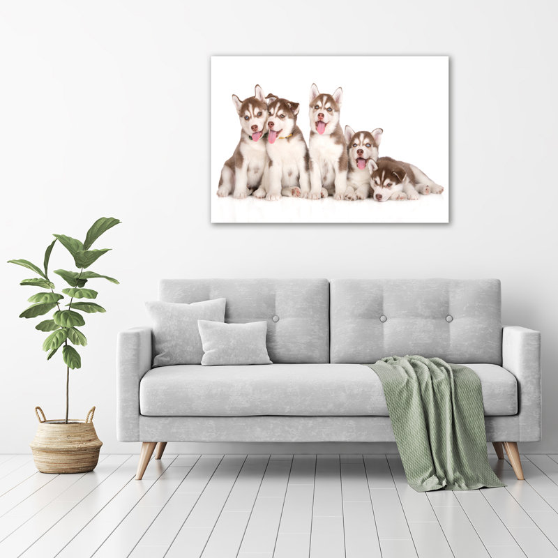 Husky Puppies - Wrapped Canvas Print