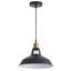 Luminaire suspendu 1 lumière Gowanus
