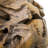 Ishmaiah 14" Teak Root Sphere Accent Decor