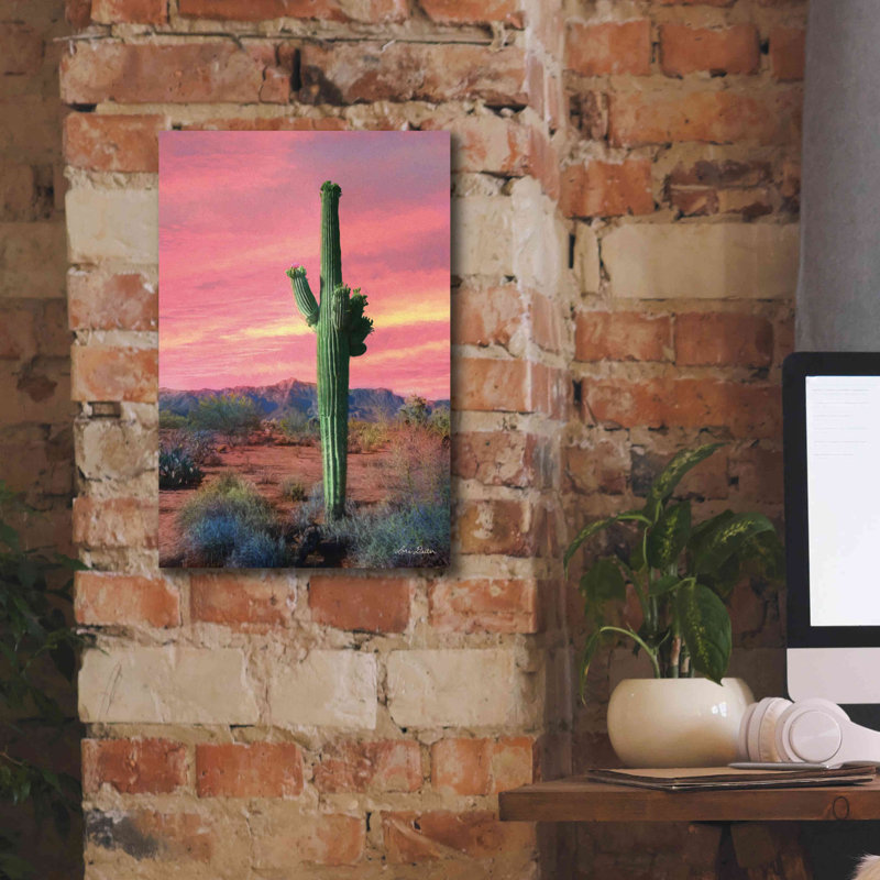 'Vibrant Cactus Sunset' by Lori Deiter, Canvas Wall Art, 18" H x 12" W x 0.75" D