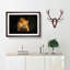 Red Squirrel - Picture Frame Painting Print-55598282-55598283