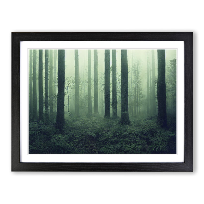 Dazzling Forest - Framed Print, 46cm H x 64cm W x 2cm D, Black Framed
