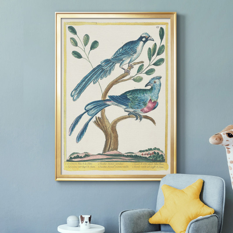 Toile encadrée Pastel Birds VI Premium - prête à être accrochée, Or, H 30,5 po x l 22,5 po x P 1 po