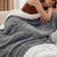Couverture polaire sherpa douce et moelleuse BedBedsure GentleSoft pour lit simple, épaisse et confortable pour l'hiver et l'automne, idéale pour le canapé et le lit.-105504650-105504624