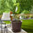 Sharrod Saucer Plant Stand