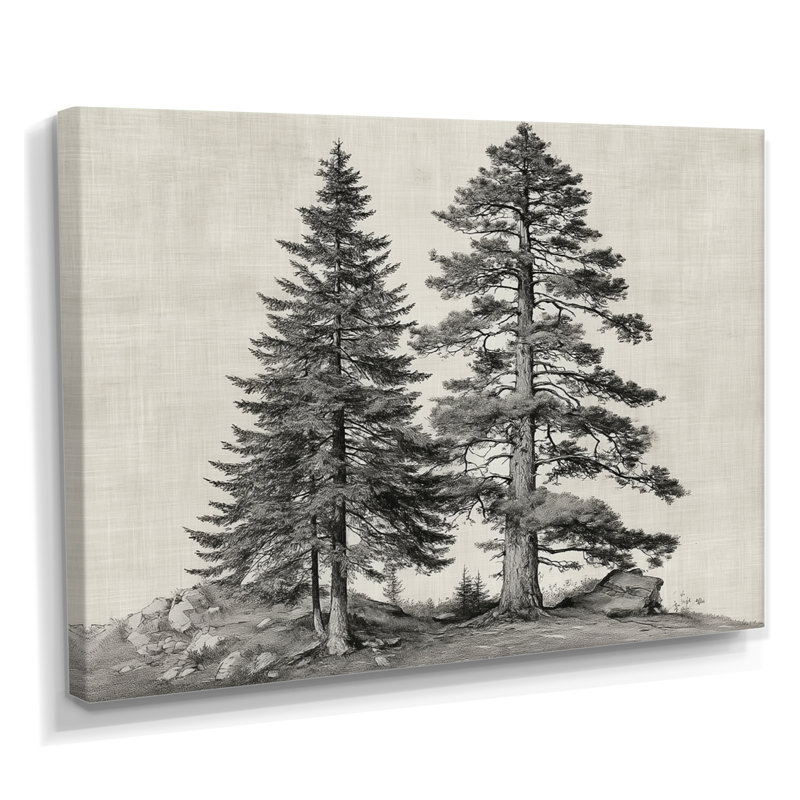 «Vintage Pine Trees On Mountain», impression murale sur toile Nature, H 12 po x l 20 po, Toile tendue, Ne s’applique pas