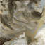 « cochettes », reproduction d’art sur toile-21717582-71968876