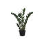 Plante artificielle