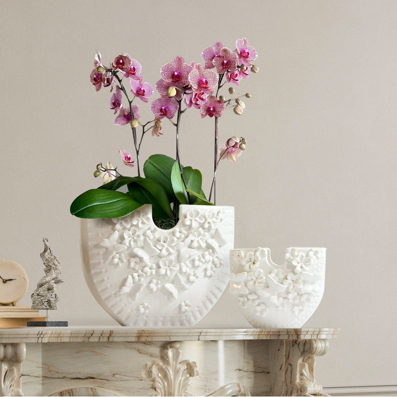Vase Vogue