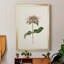 Mauve jardin fleurs V, toile encadrée de qualité supérieure - prête à être accrochée-820317321-820317326