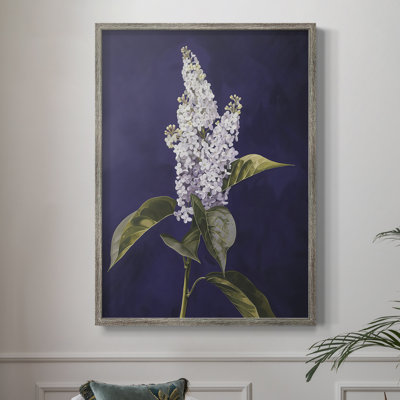 FLORAL Series CCXLII Framed Print - Solid Wood