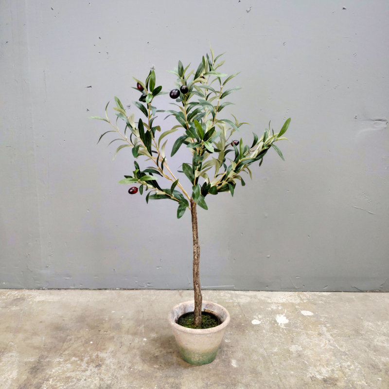 Faux Olive Tree for table top