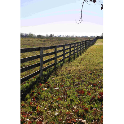 Sunny Fence Photographie - Photographie sur toile tendue