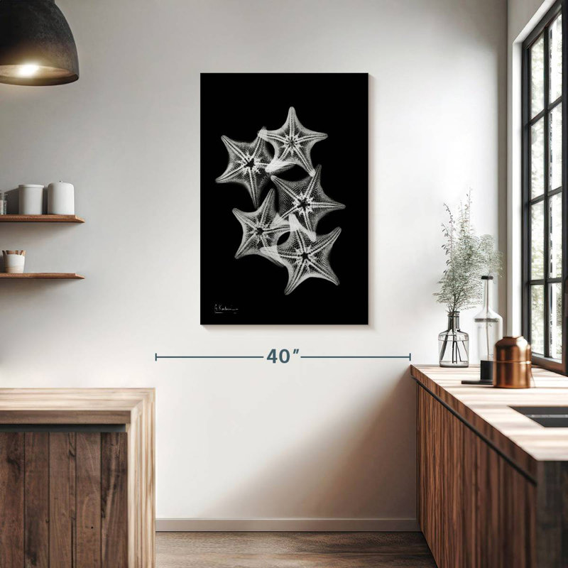 Brampt Starfish Collage, 39" H x 26" W