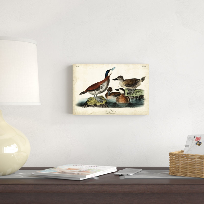 Audubon Ducks II, H 8 po x l 12 po x P 1,25 po