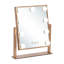 Lottemaria Metal Rectangle Floor Mirror