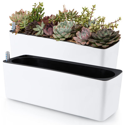 Planter Box