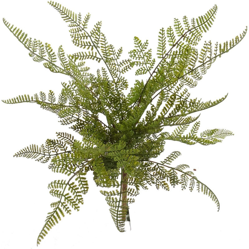 Fir Arrangement