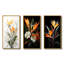 «Birds Of Paradise Paradise», 3 pièces-322915245-322915241