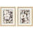 Butterfly Cluster Framed Art