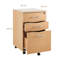 File Cabinet