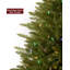 Sapin de Noël vert extra plein avec lumières DEL-828971856