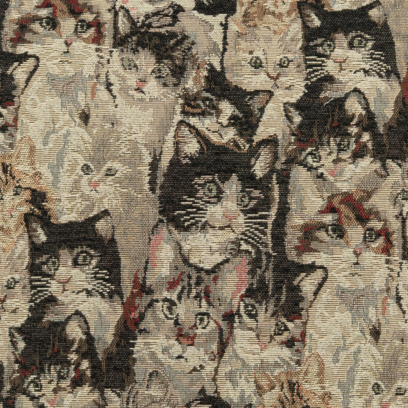 Cat's Meow Fabric