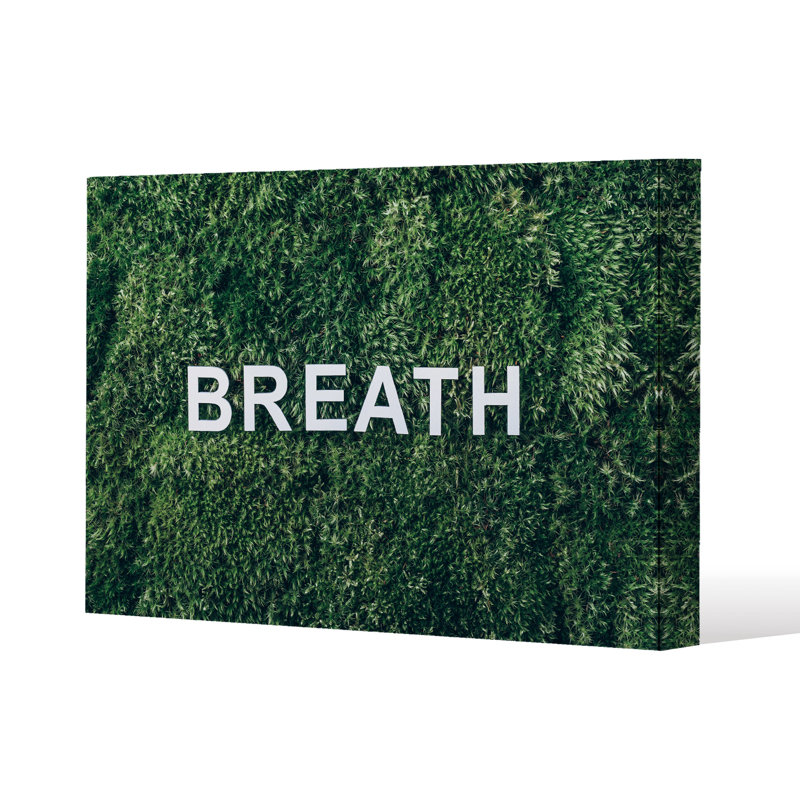 Andrew Lee - Wrapped Canvas Print