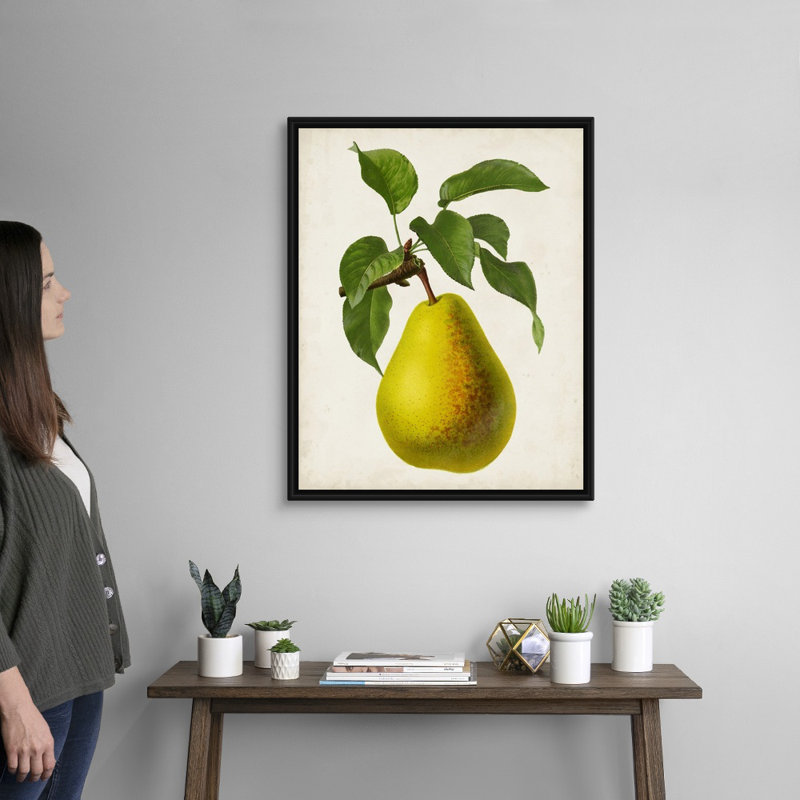 Antique Fruit VII - reproduction d'art sur toile, H 31,7 po x l 25,7 po x P 1,75 po, Cadre flottant noir